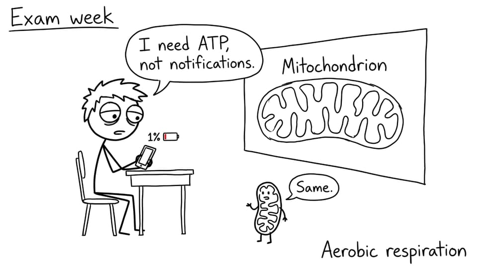 Student needs ATP not notifications
