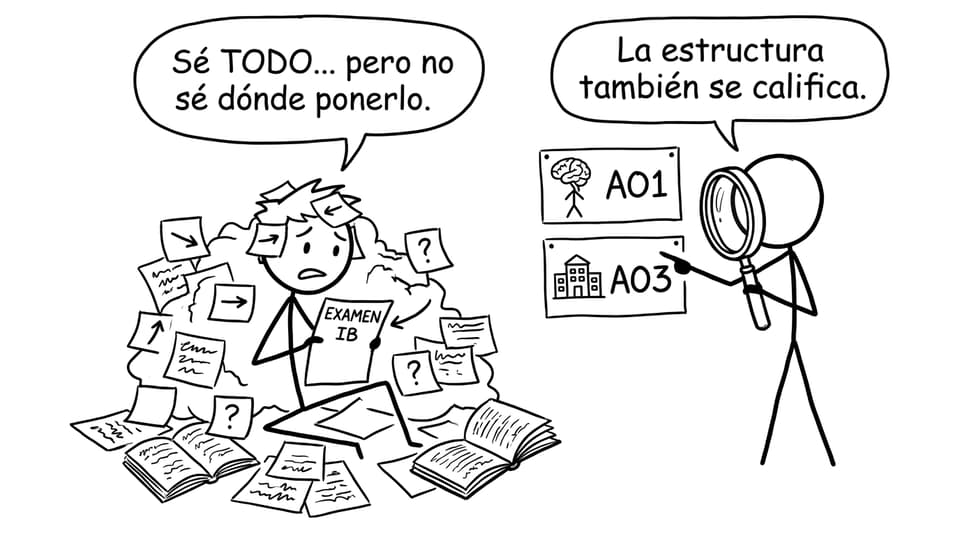 Estudiante vs estructura en IB Psychology