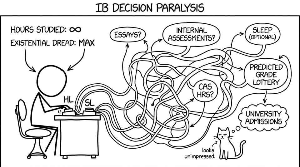 An IB student choosing between HL and SL like it’s a life-or-death RPG decision