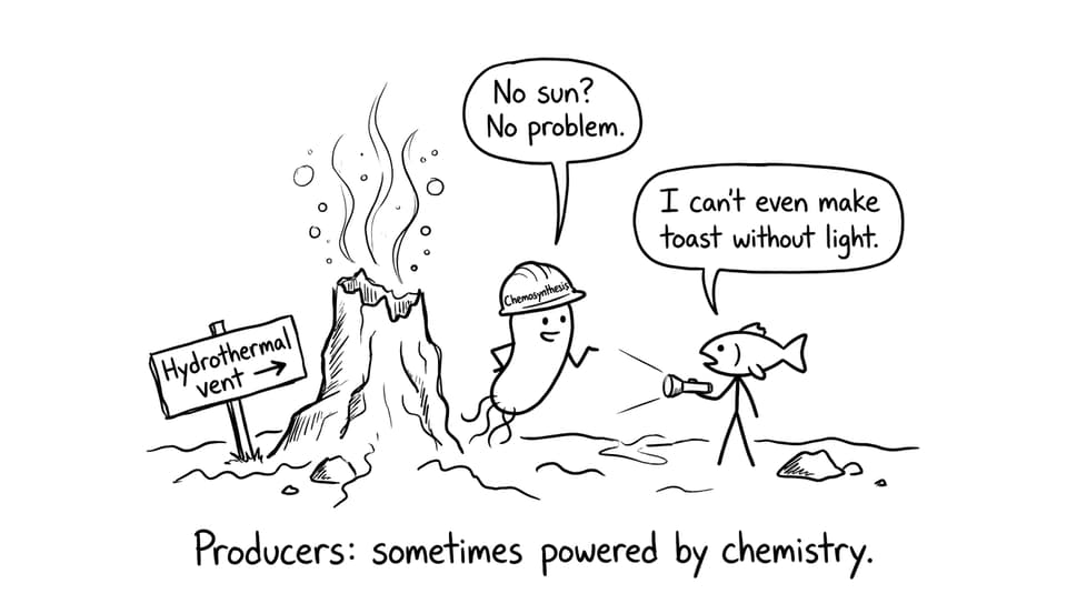 Chemosynthesis at a hydrothermal vent