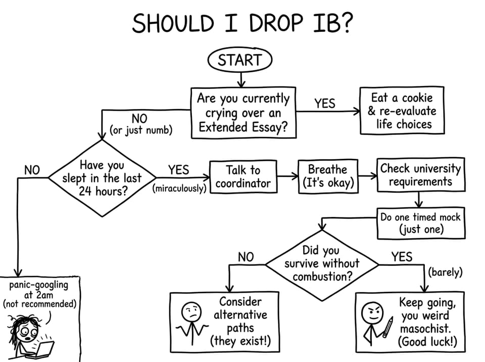 Silly drop IB flowchart
