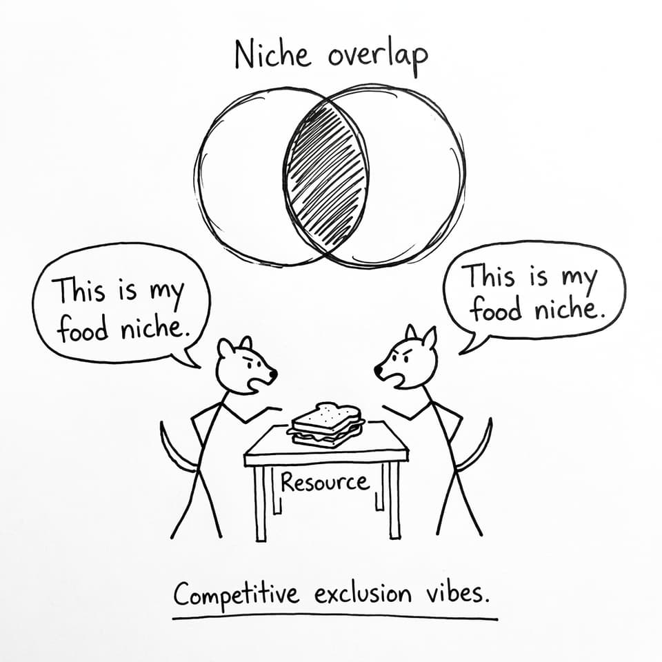 Competition comic