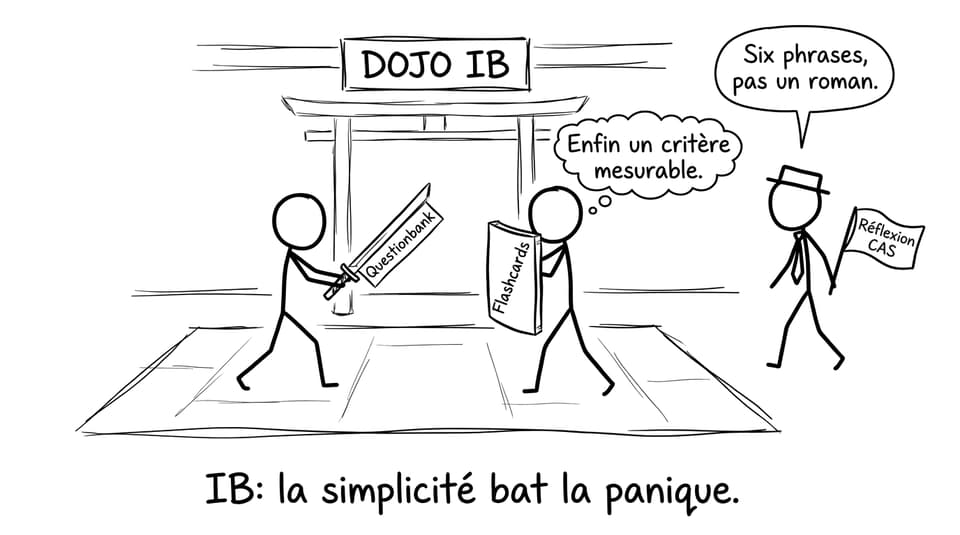 Comic dojo RevisionDojo et réflexion CAS