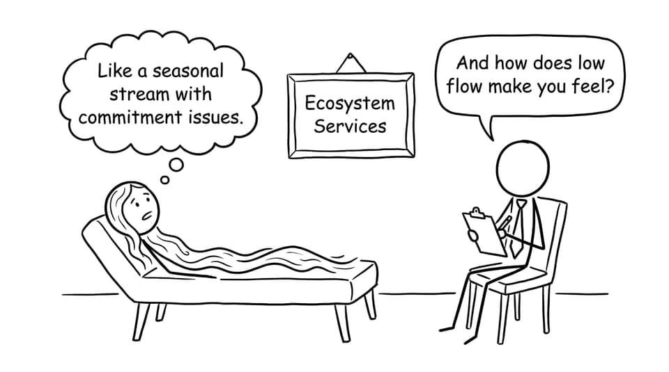 River in therapy (comic)