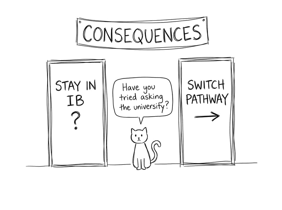 Two doors and a cat with advice