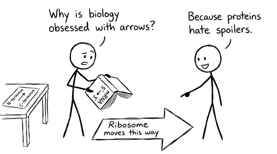 Arrows directionality comic