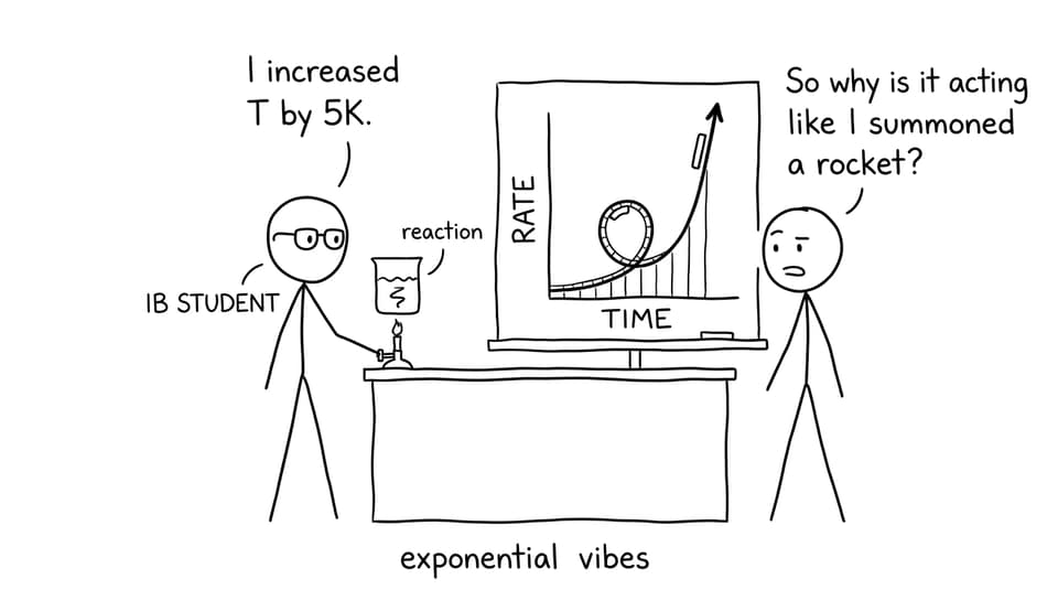 Student discovers exponential vibes