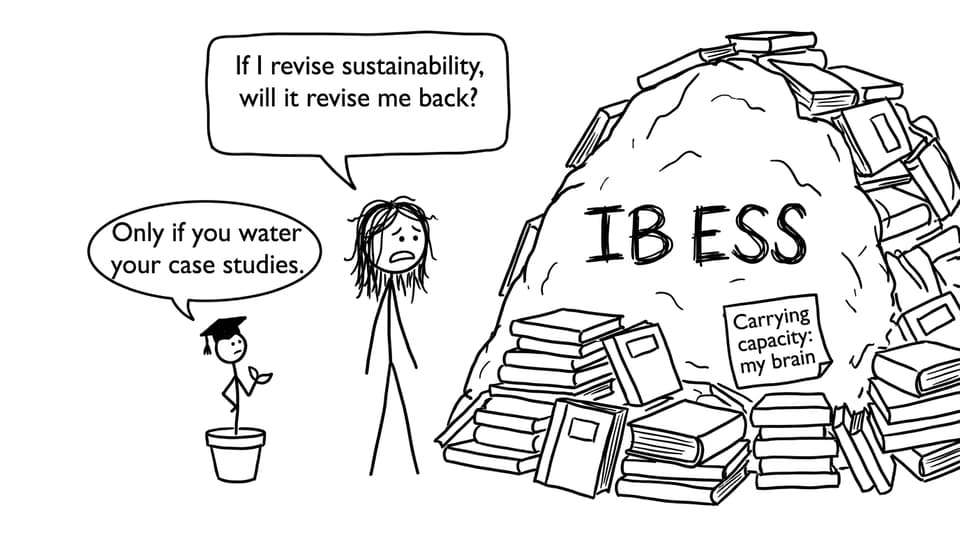 IB ESS student vs sustainability pile