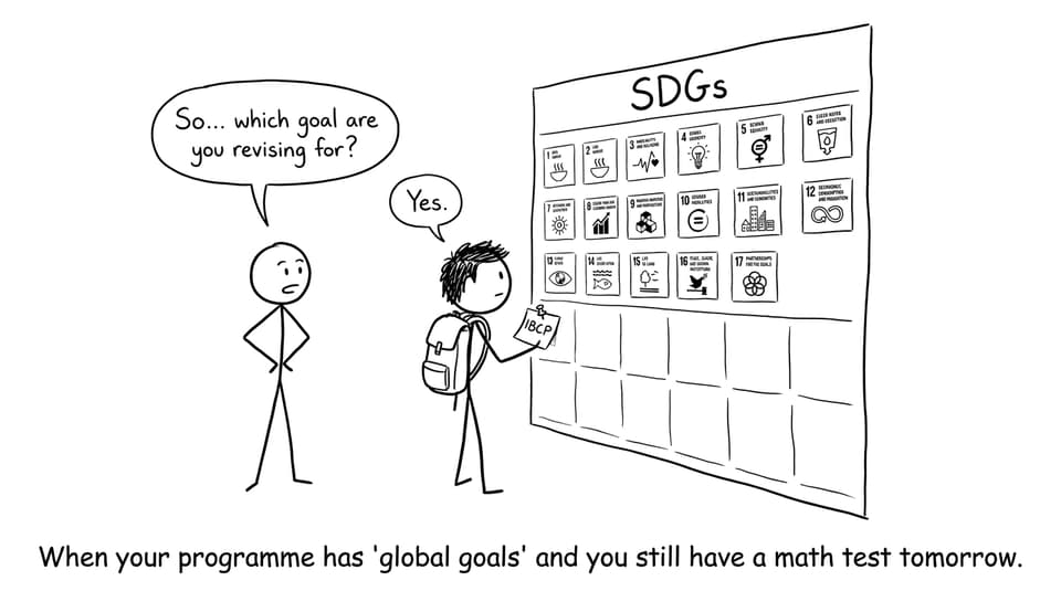 An IB student versus 17 SDGs