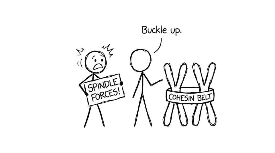 “Buckle up.”
