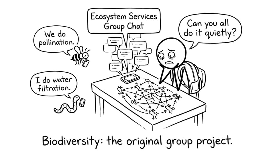Biodiversity group project comic