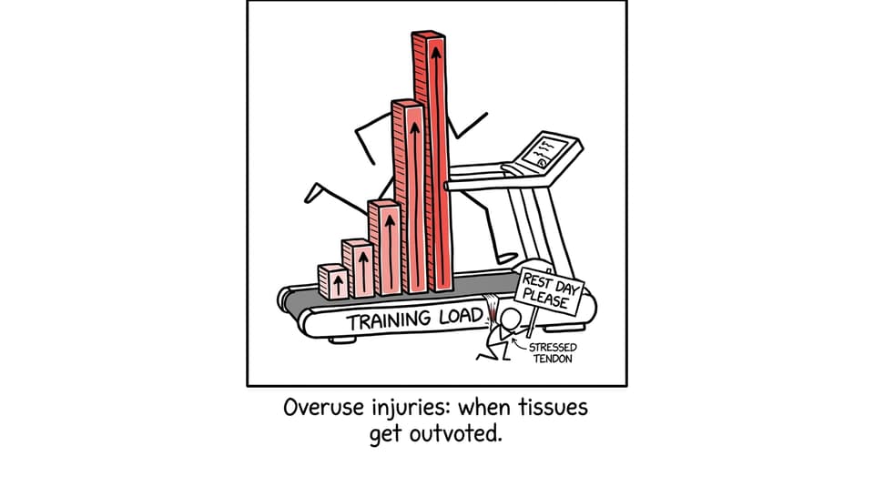 Tendon protesting rising training load bar graph