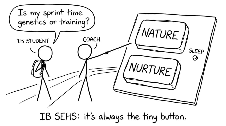 IB SEHS tiny button joke