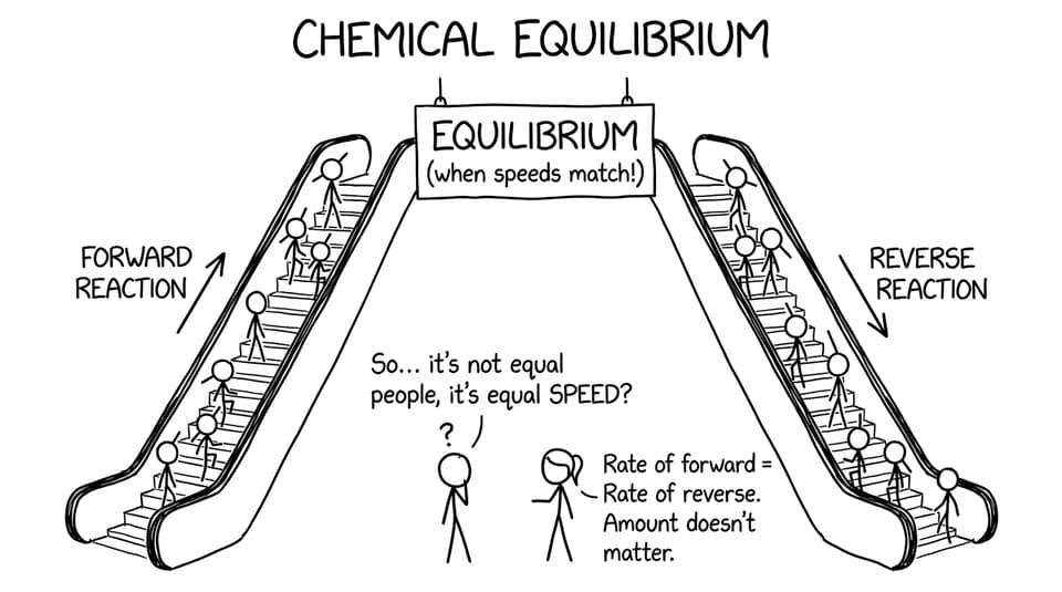 Escalators for forward and reverse reactions