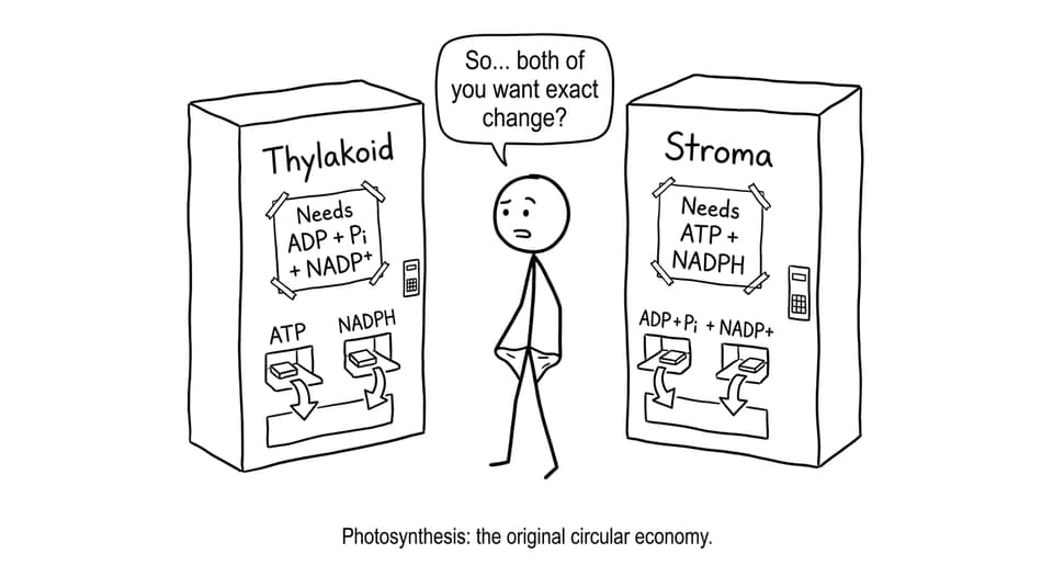 Two vending machines that need each other