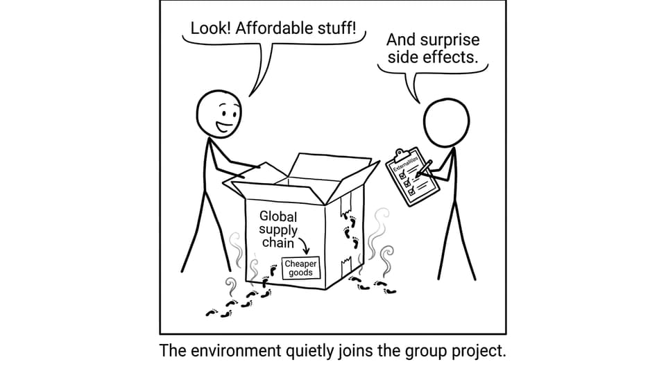 Global supply chain externalities comic
