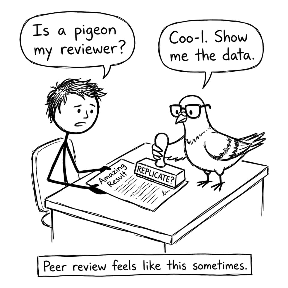 Peer review pigeon