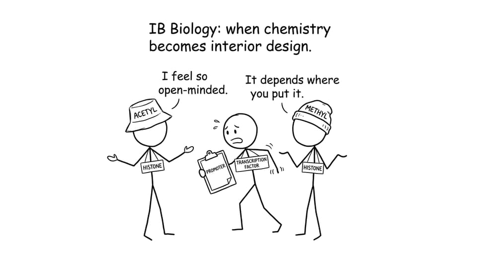 Comic: Histones as fashion choices