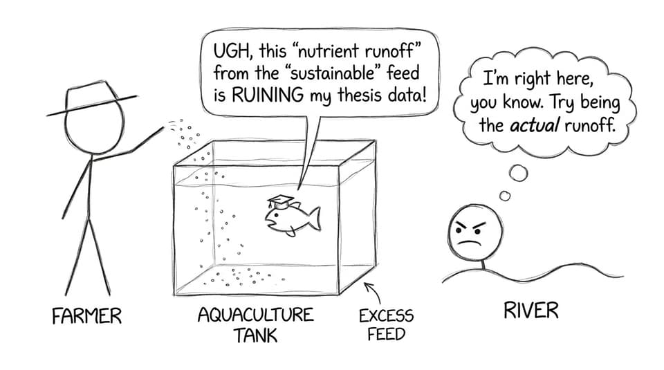 Fish in aquaculture tank wearing graduation cap