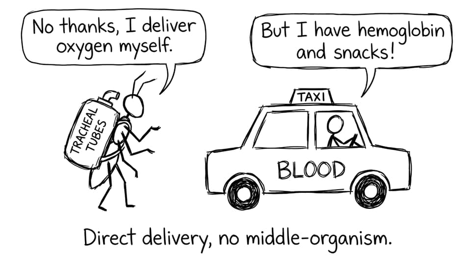Insect refusing the blood taxi