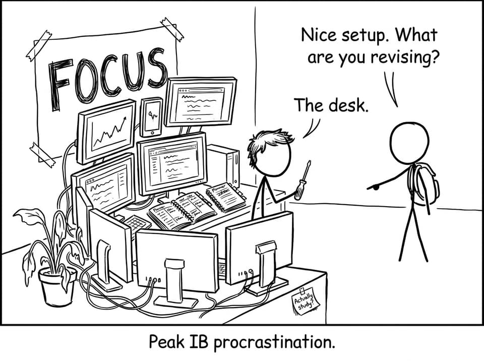 Peak IB procrastination comic