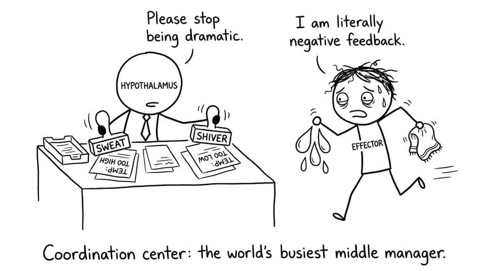 Negative feedback middle manager comic