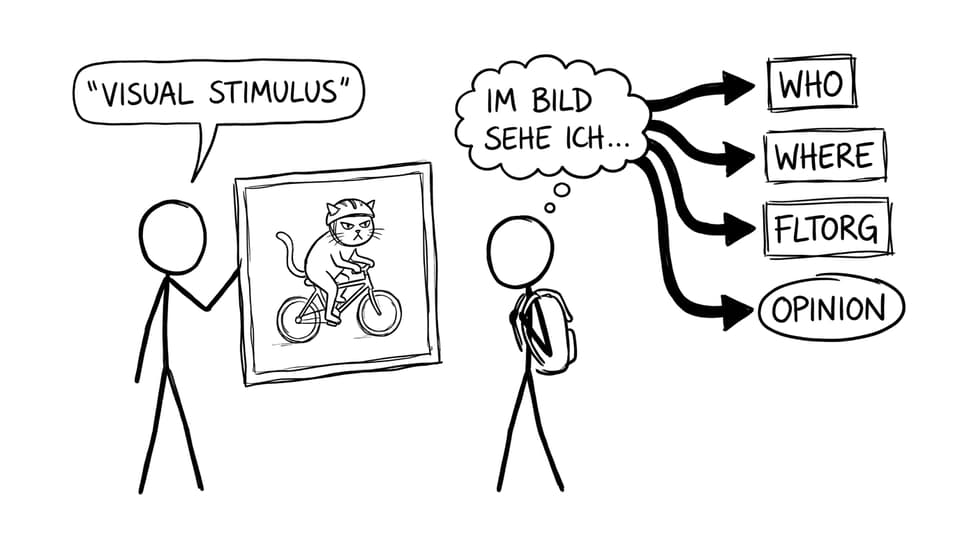The “cat on a bicycle” stimulus
