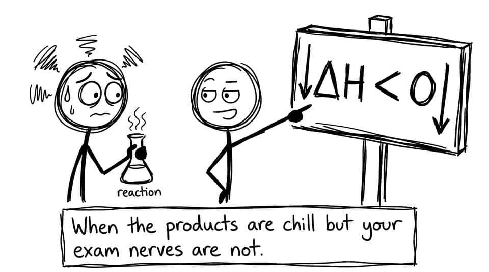 When the products are chill but your exam nerves are not