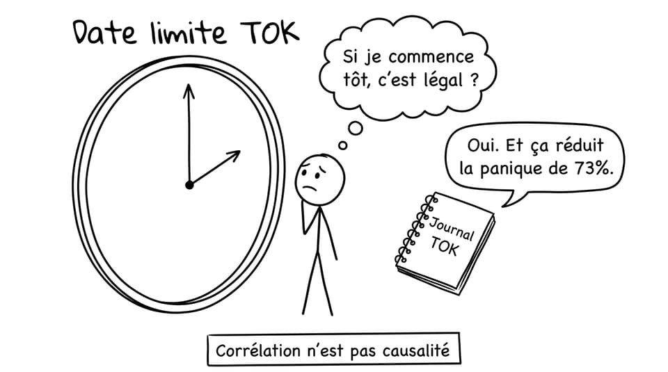 Journal TOK vs panique
