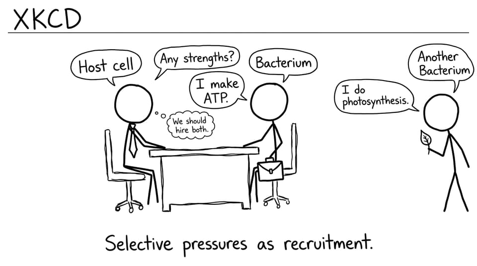 Selective pressures as recruitment.