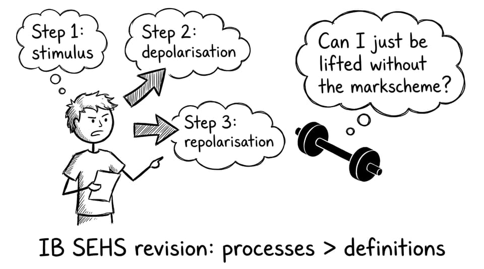 Action potential explained to a dumbbell