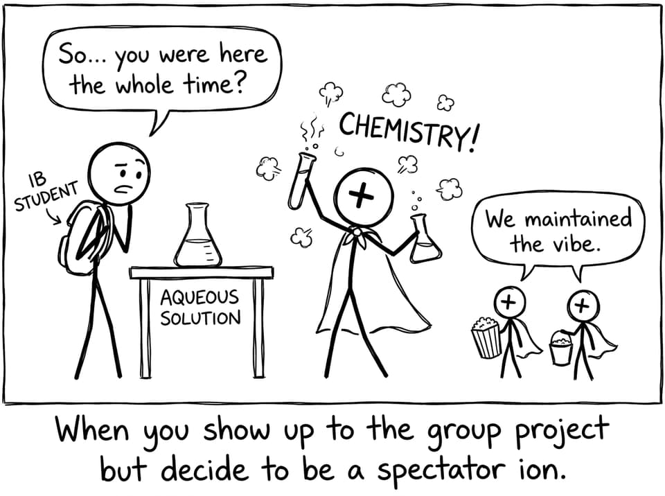Spectator ions group project joke
