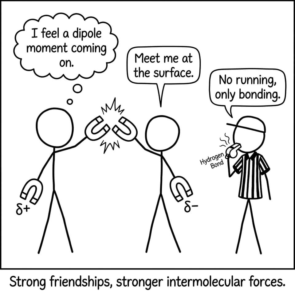 Hydrogen bonds as strict referee