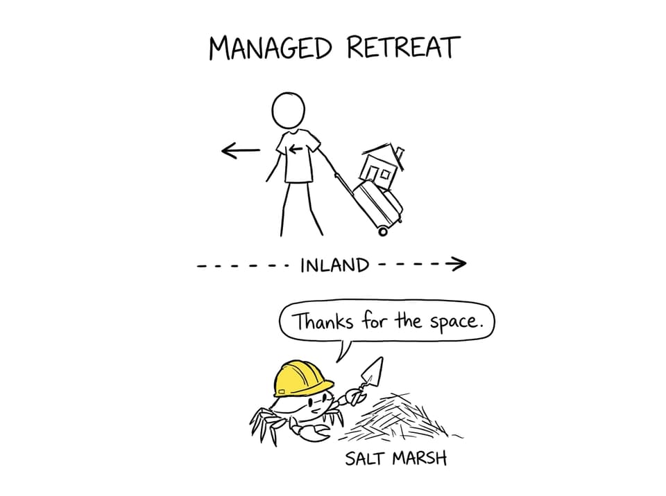 Managed retreat: house on suitcase, crab builds marsh