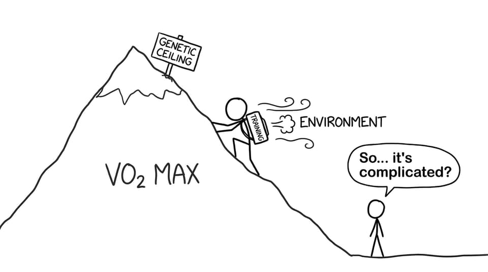 VO2 max mountain labeled genetic ceiling