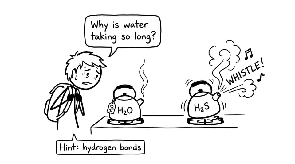 Student vs kettles: H2O and H2S