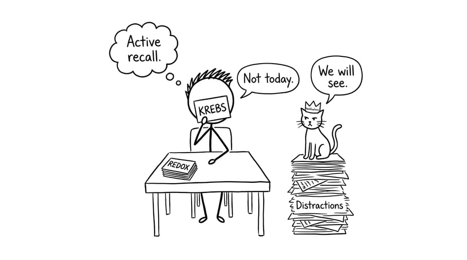 Flashcards vs distractions comic