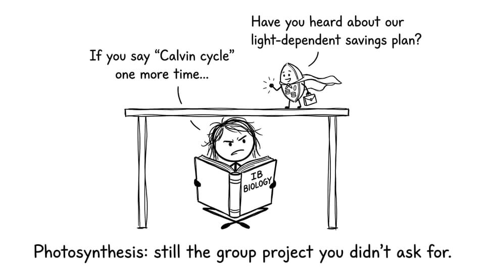 A chloroplast tries to sell photosynthesis to a stressed student