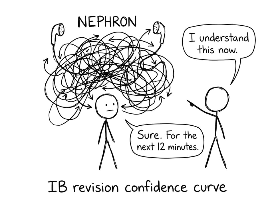 IB revision confidence curve