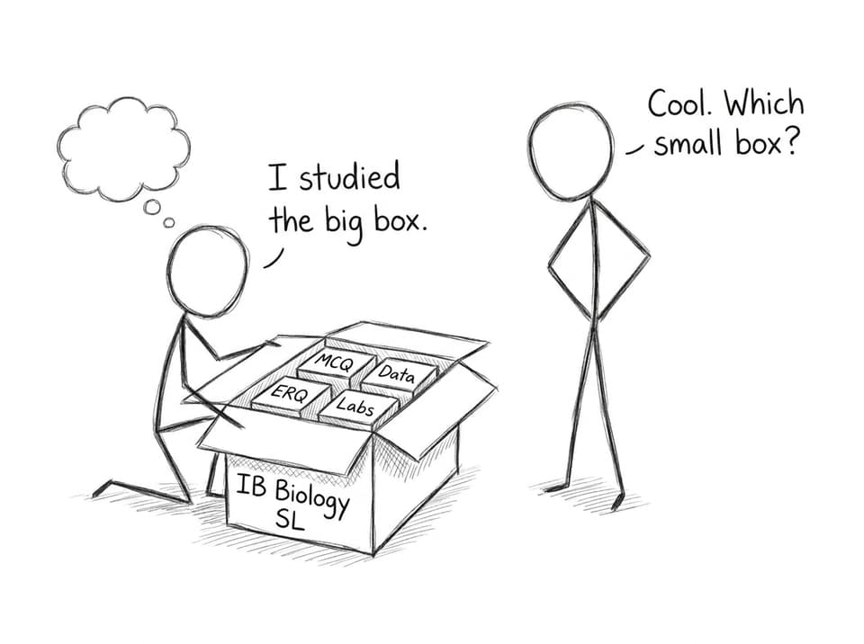 The big box problem