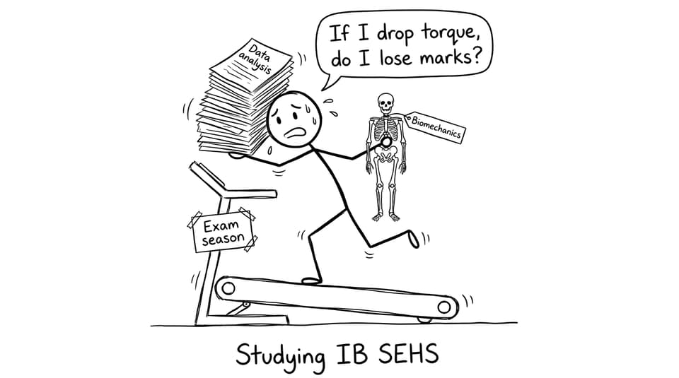 Studying IB SEHS