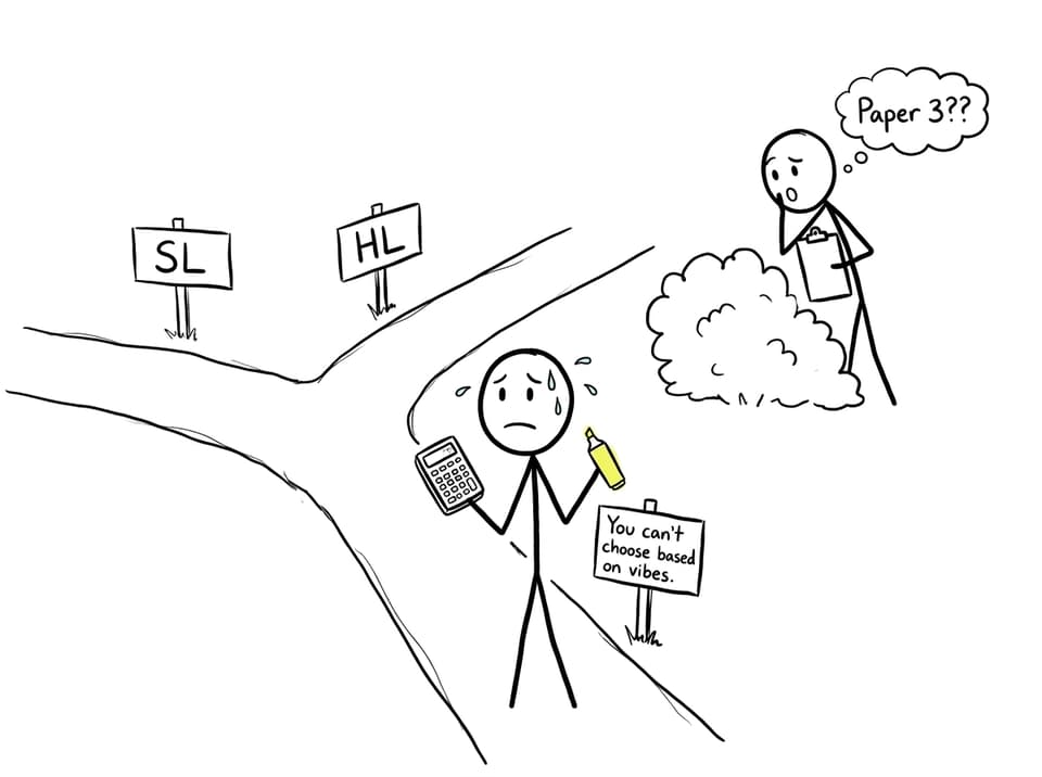 A student choosing SL vs HL at a fork in the road