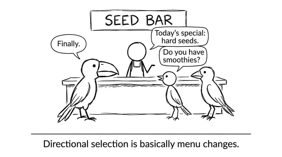 Finches ordering at the Seed Bar comic