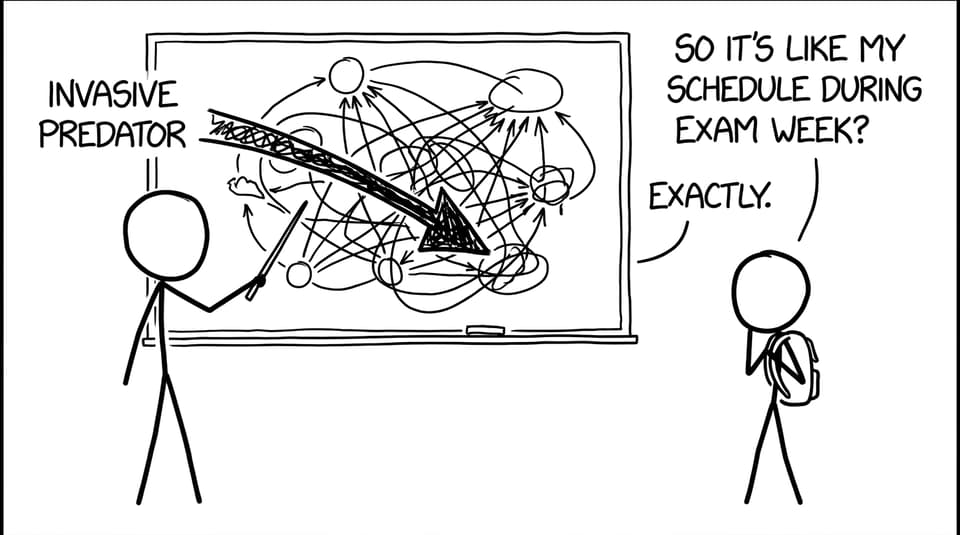 Food web turns into exam-week chaos