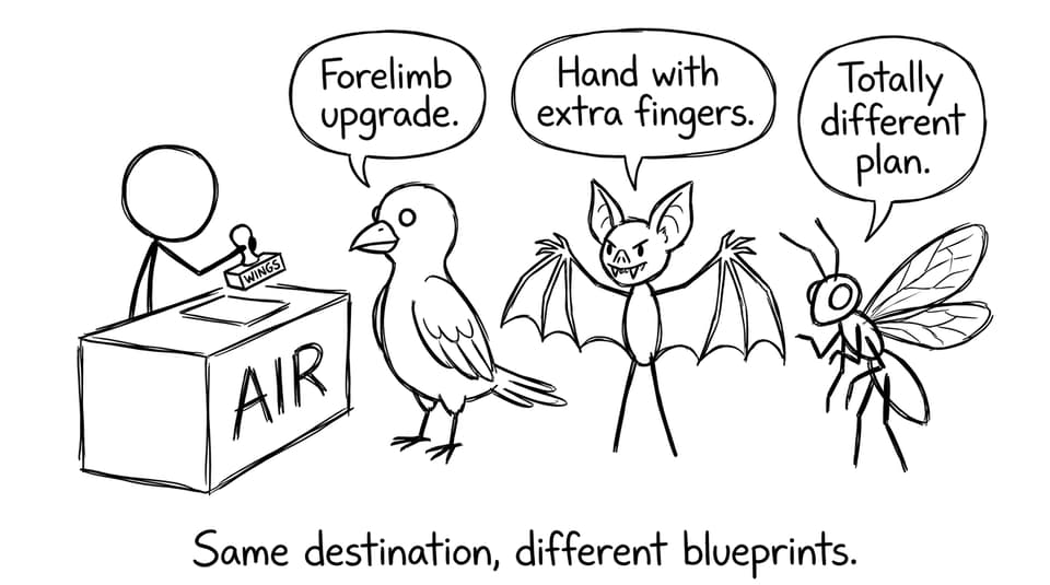 Airport check-in wings comic