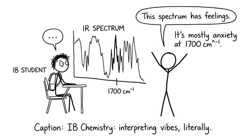 Student staring at an IR spectrum mountain range