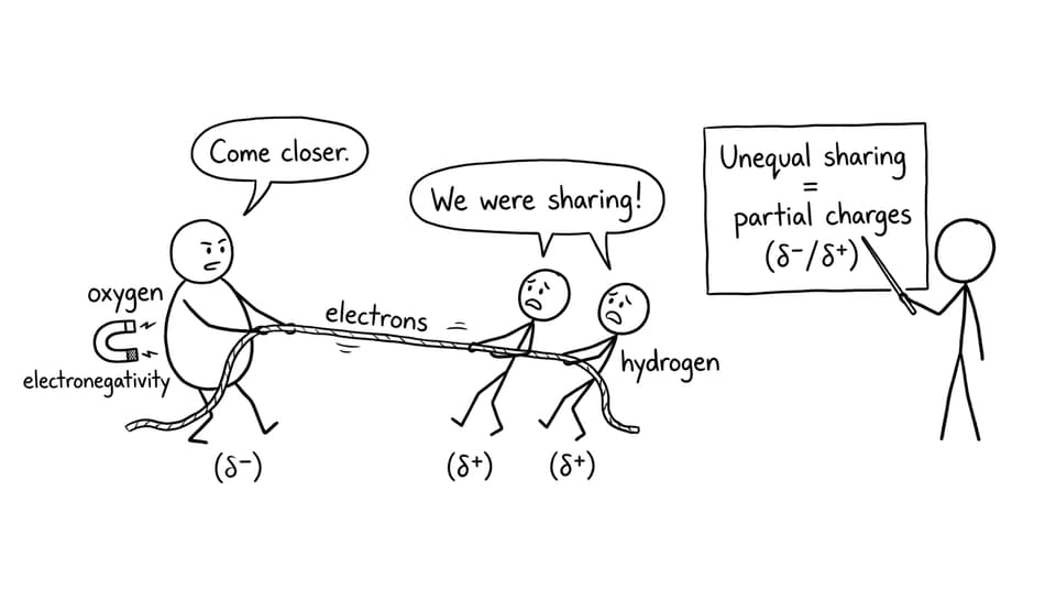 Electronegativity tug-of-war comic