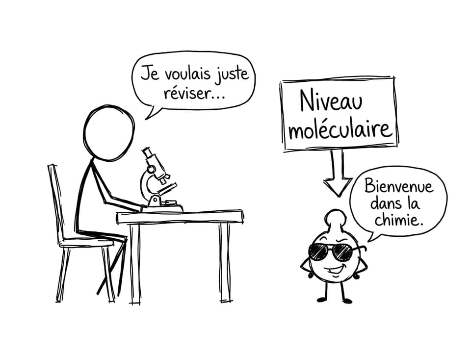Quand la biologie te ramène à la chimie