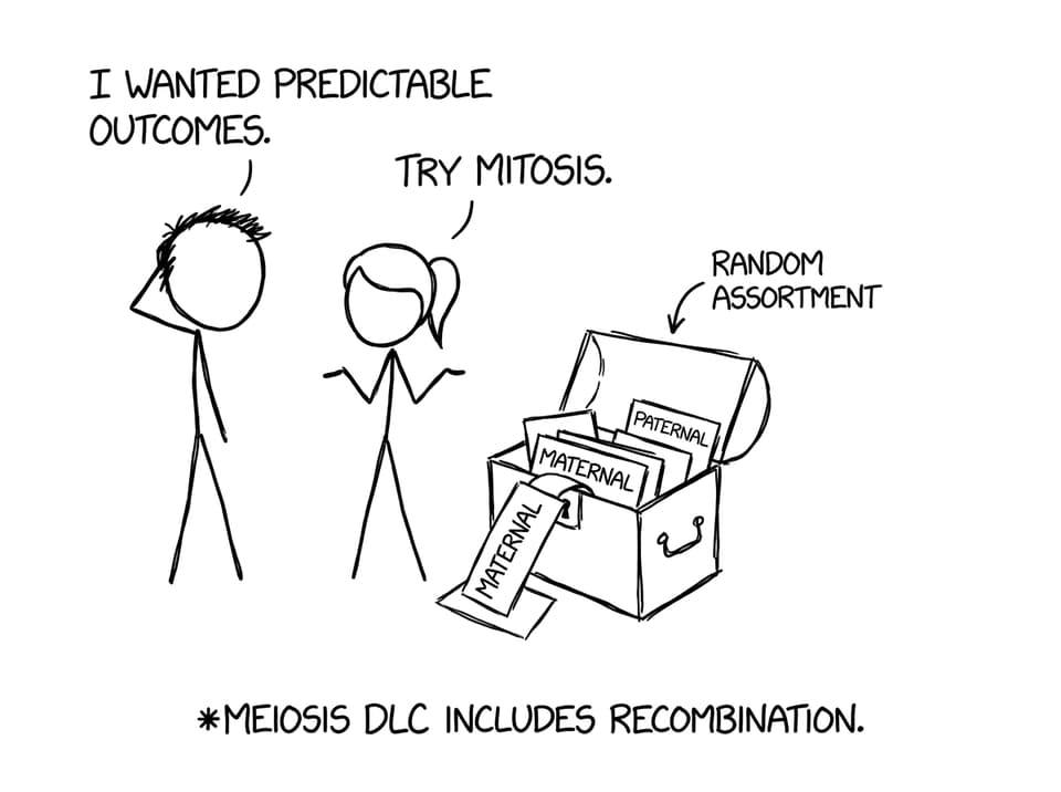 Random assortment loot box (comic)