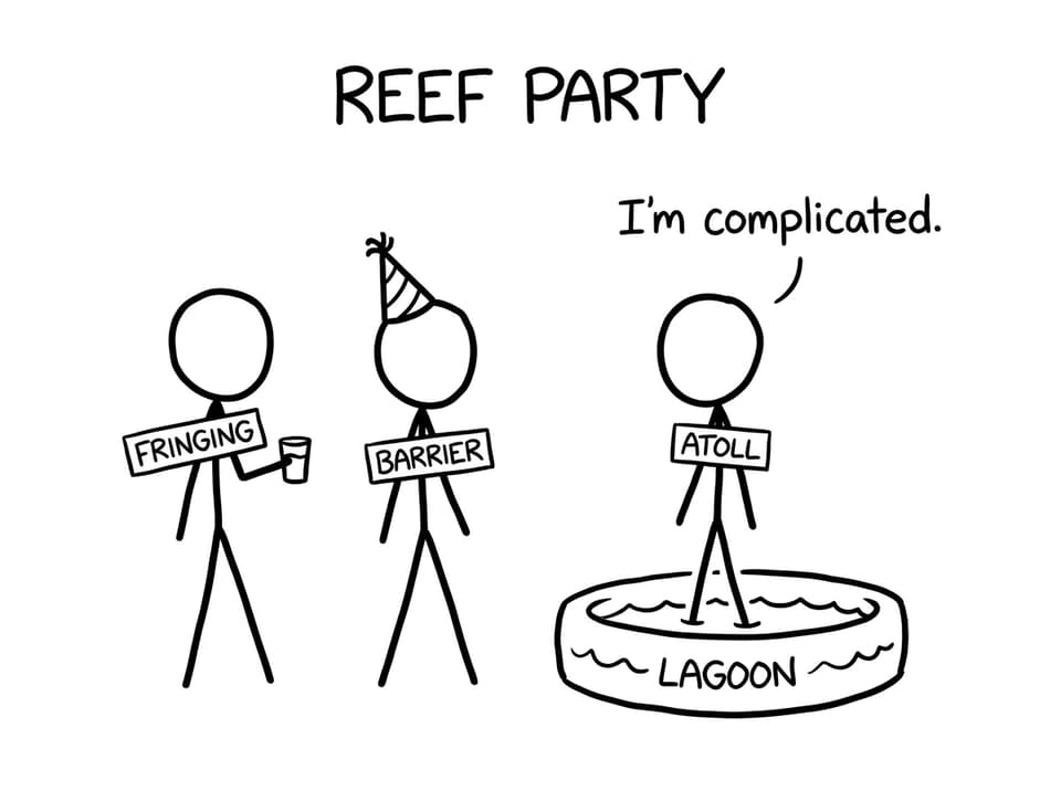 Three reef types at a party: fringing, barrier, atoll